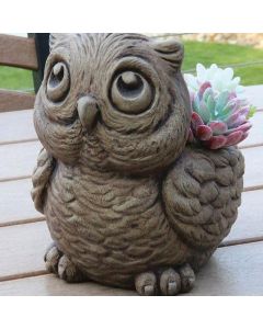Hoot The Owl Planter