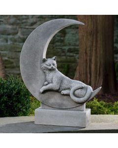 Cat on Moon