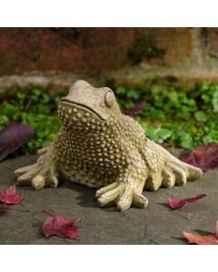 Tommy Toad