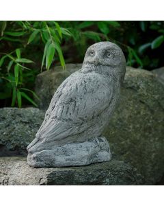 Polar Owl