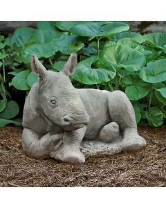 White Rhinoceros Calf
