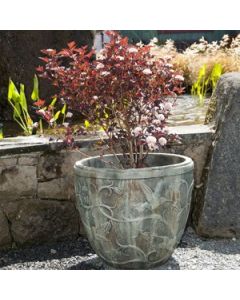 Hummingbird Pot