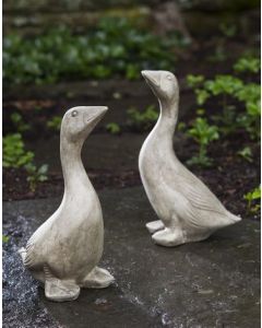 Kate's Goose