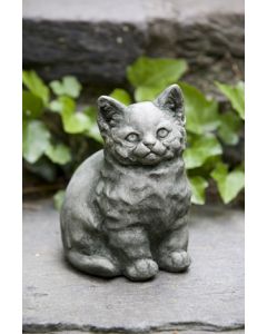 Kitty