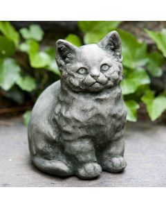 Kitty