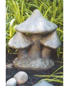 Large Mushroom Cluster