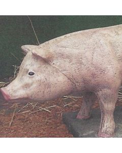 Large Pig