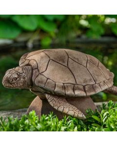 Large Sea Turtle