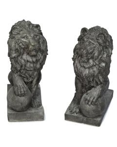 Lion Left Paw On Ball