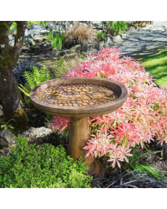 Lady of the Lake Bird Bath