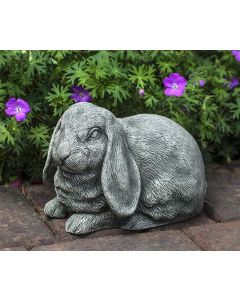 Lop-Eared Bunny