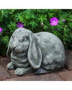 Lop-Eared Bunny