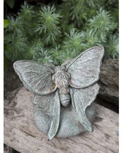 Lunar Moth