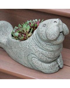 Marco The Manatee Planter