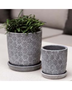 Etched Grey Marguerite Small R