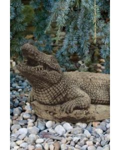 Medium Alligator-Plumbed