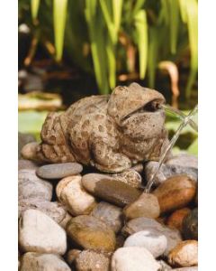 Medium Bull Frog-Plumbed
