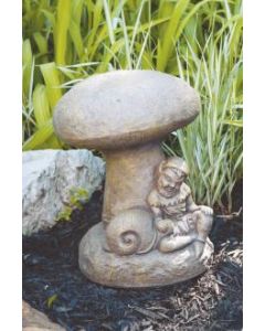Mushroom and Pixie