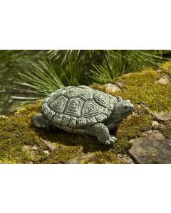 My Pet Turtle