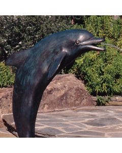 Lone Dolphin
