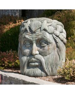 Neptune Face