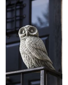 Night Owl