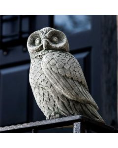 Night Owl