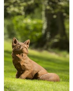 Noble Fox