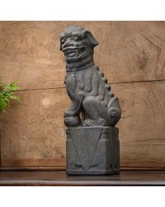 Nara Foo Dogs - Right Male