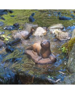 Otter Baby