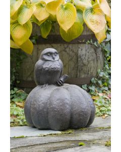 Owl on Pumpkin