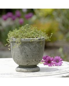 Arles Planter 