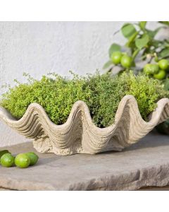 South Seas Planter 