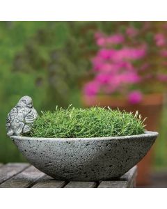 Aurielle Planter