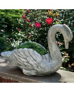 Newport Swan 