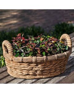 Provencal Basket Planter