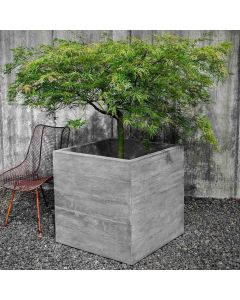 Chenes Brut Large Box Planter