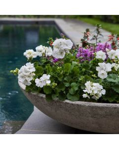 Textured Zen Bowl