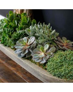 Barca Planter, Large
