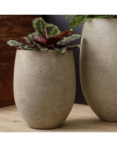 Bebel Planter