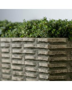 Weft Planter