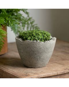 Broken Egg Planter, Mini