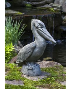 Pelican