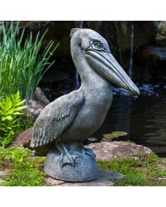 Pelican