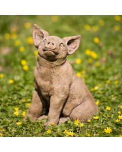 Perky Pig