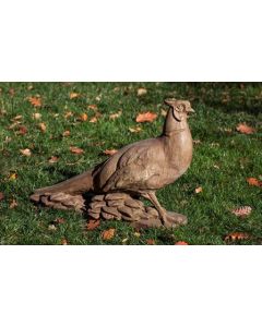 Pheasant