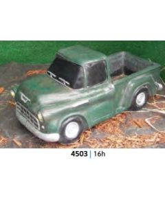 Pick Up Truck