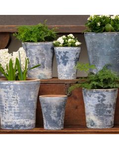 Pietro Planter