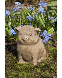 Piglet