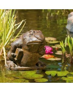 Professor Frog